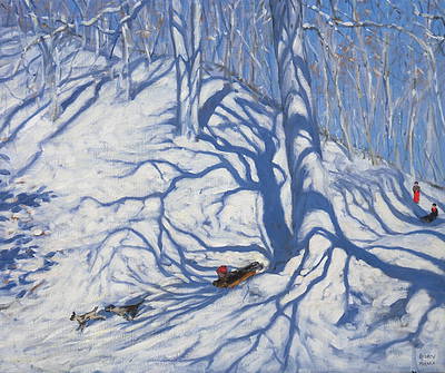 ANDREW MACARA  - dogs racing, courchevel